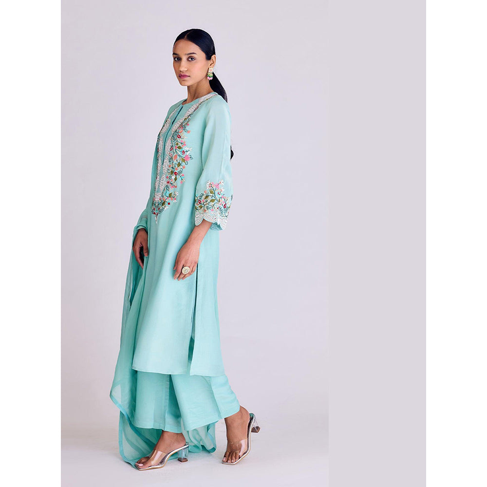 Basanti Kapde aur Koffee Aqua Tissue Kurta and Pant with Dupatta