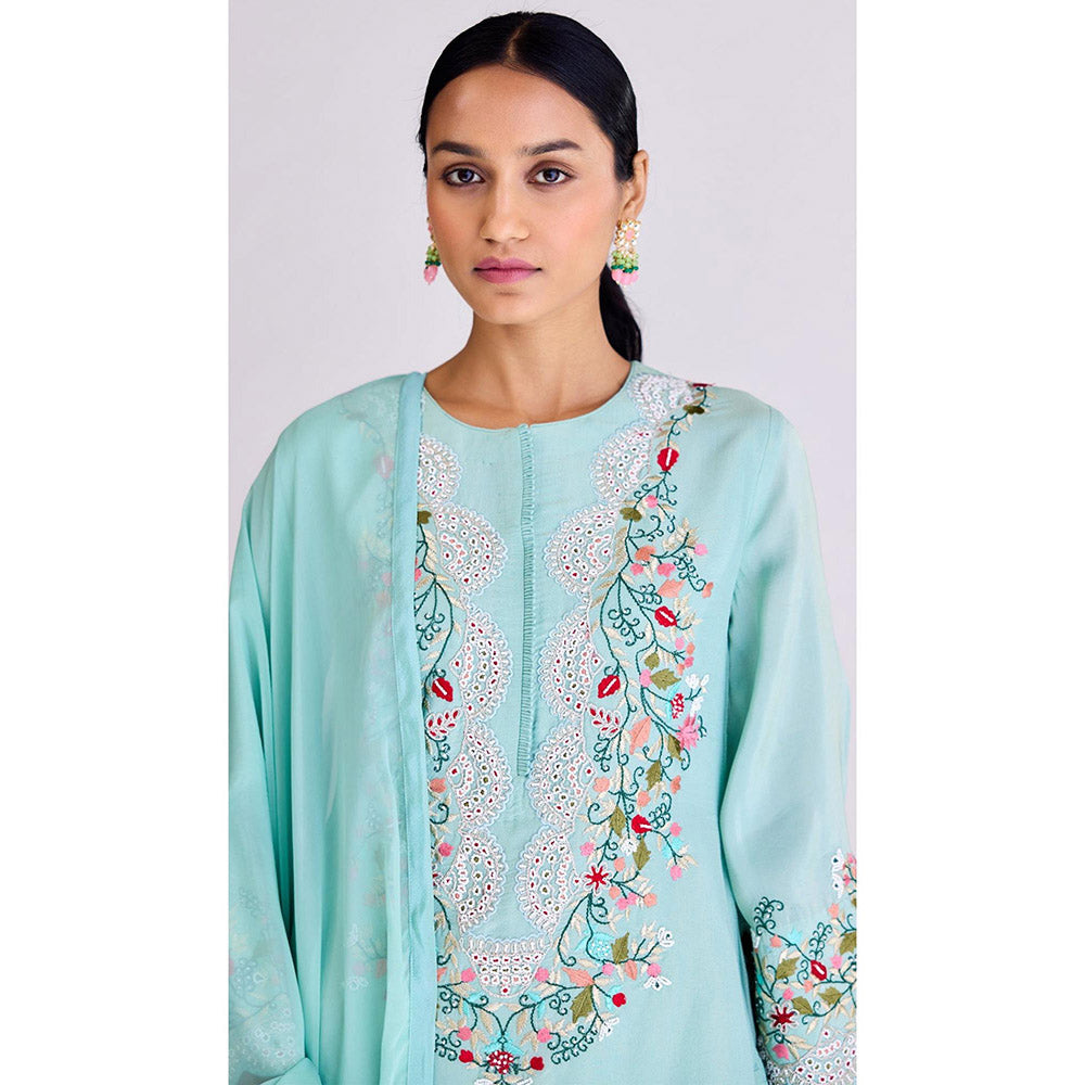 Basanti Kapde aur Koffee Aqua Tissue Kurta and Pant with Dupatta
