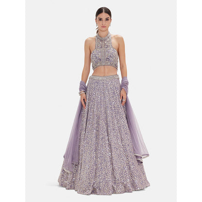 Basanti Kapde aur Koffee The Regal Lilac Lehenga And Stitched Blouse With Dupatta