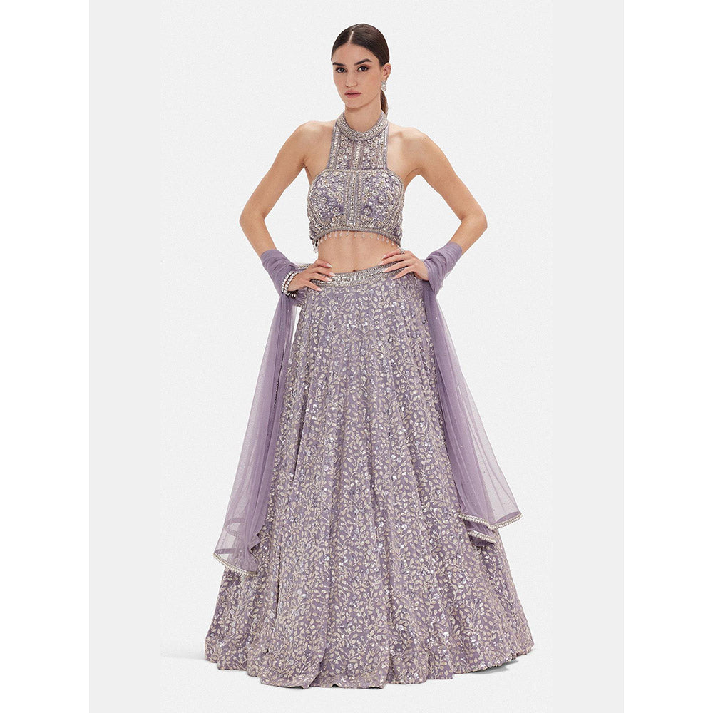 Basanti Kapde aur Koffee The Regal Lilac Lehenga And Stitched Blouse With Dupatta