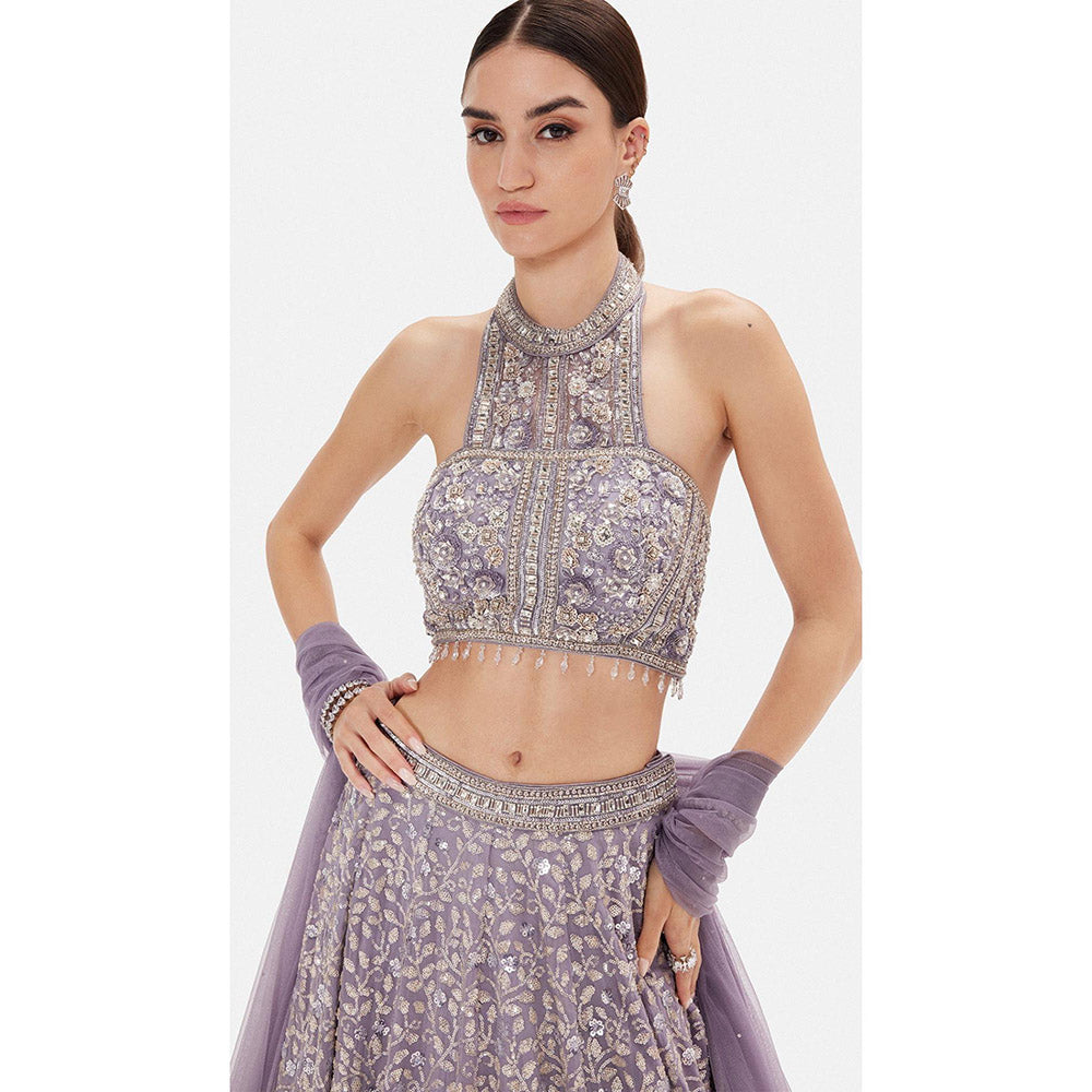 Basanti Kapde aur Koffee The Regal Lilac Lehenga And Stitched Blouse With Dupatta