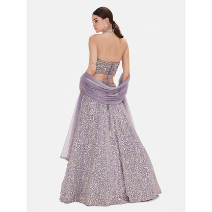 Basanti Kapde aur Koffee The Regal Lilac Lehenga And Stitched Blouse With Dupatta