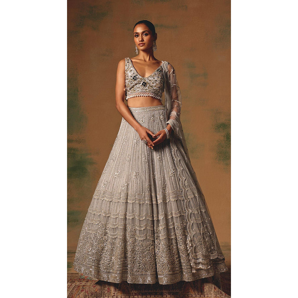 Basanti Kapde aur Koffee The Silvered Dove Lehenga And Stitched Blouse With Dupatta