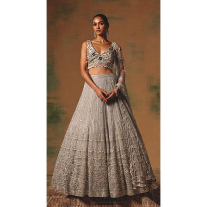 Basanti Kapde aur Koffee The Silvered Dove Lehenga And Stitched Blouse With Dupatta