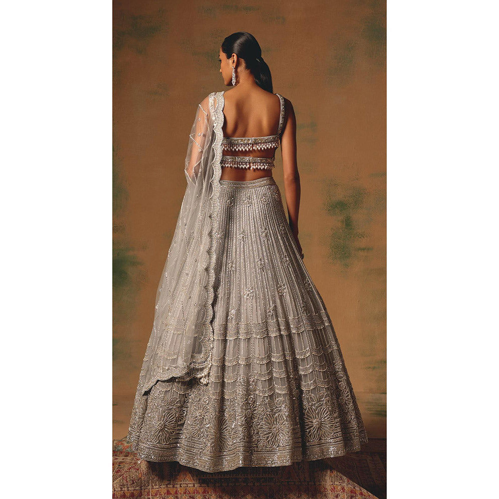 Basanti Kapde aur Koffee The Silvered Dove Lehenga And Stitched Blouse With Dupatta