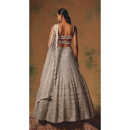 Basanti Kapde aur Koffee The Silvered Dove Lehenga And Stitched Blouse With Dupatta
