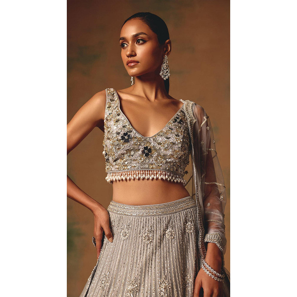 Basanti Kapde aur Koffee The Silvered Dove Lehenga And Stitched Blouse With Dupatta