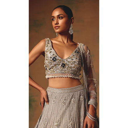 Basanti Kapde aur Koffee The Silvered Dove Lehenga And Stitched Blouse With Dupatta