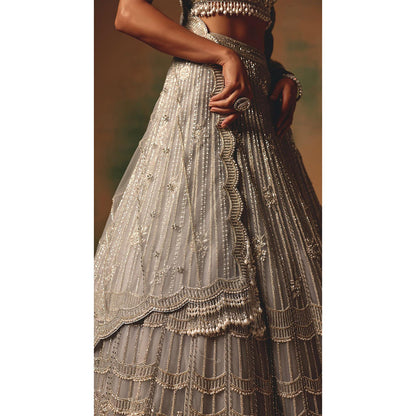 Basanti Kapde aur Koffee The Silvered Dove Lehenga And Stitched Blouse With Dupatta