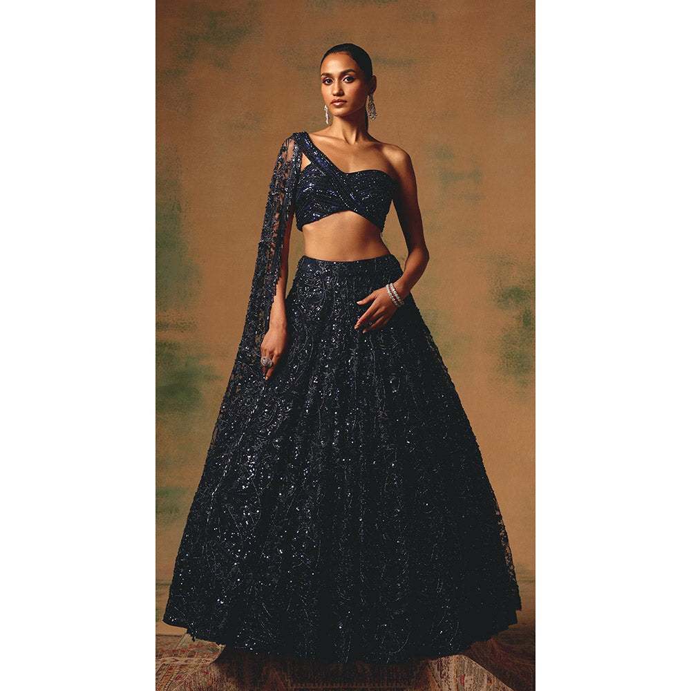 Basanti Kapde aur Koffee The Waltz Of Midnight Lehenga And Stitched Blouse With Dupatta