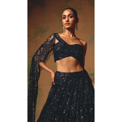 Basanti Kapde aur Koffee The Waltz Of Midnight Lehenga And Stitched Blouse With Dupatta