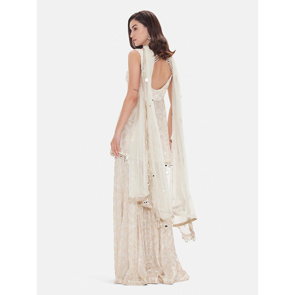 Basanti Kapde aur Koffee The Royal Pearl Sharara With Dupatta