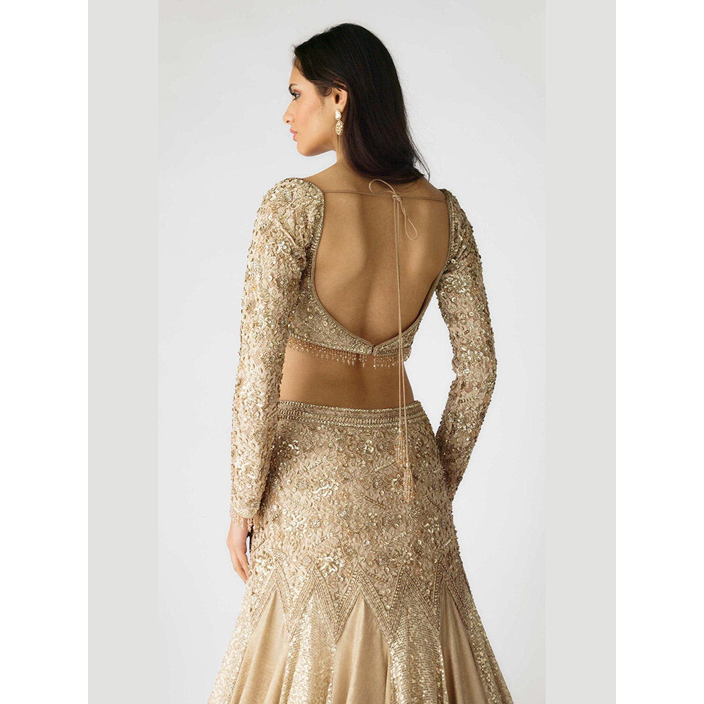 Basanti Kapde aur Koffee The Champagne Dawn Lehenga And Stitched Blouse With Dupatta