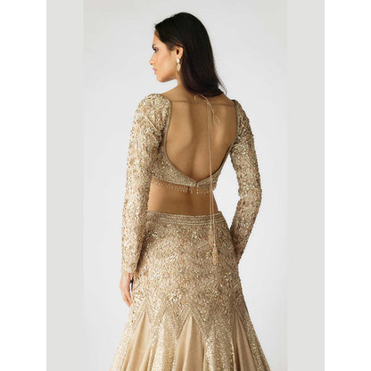 Basanti Kapde aur Koffee The Champagne Dawn Lehenga And Stitched Blouse With Dupatta
