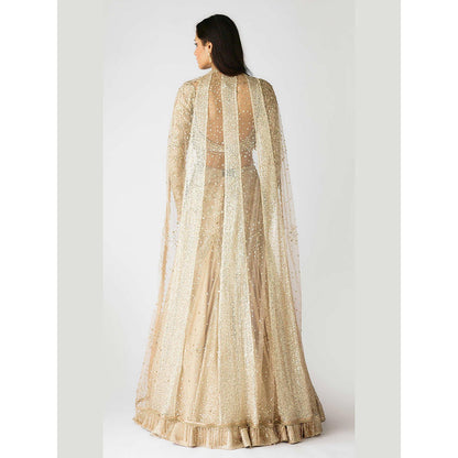Basanti Kapde aur Koffee The Champagne Dawn Lehenga And Stitched Blouse With Dupatta