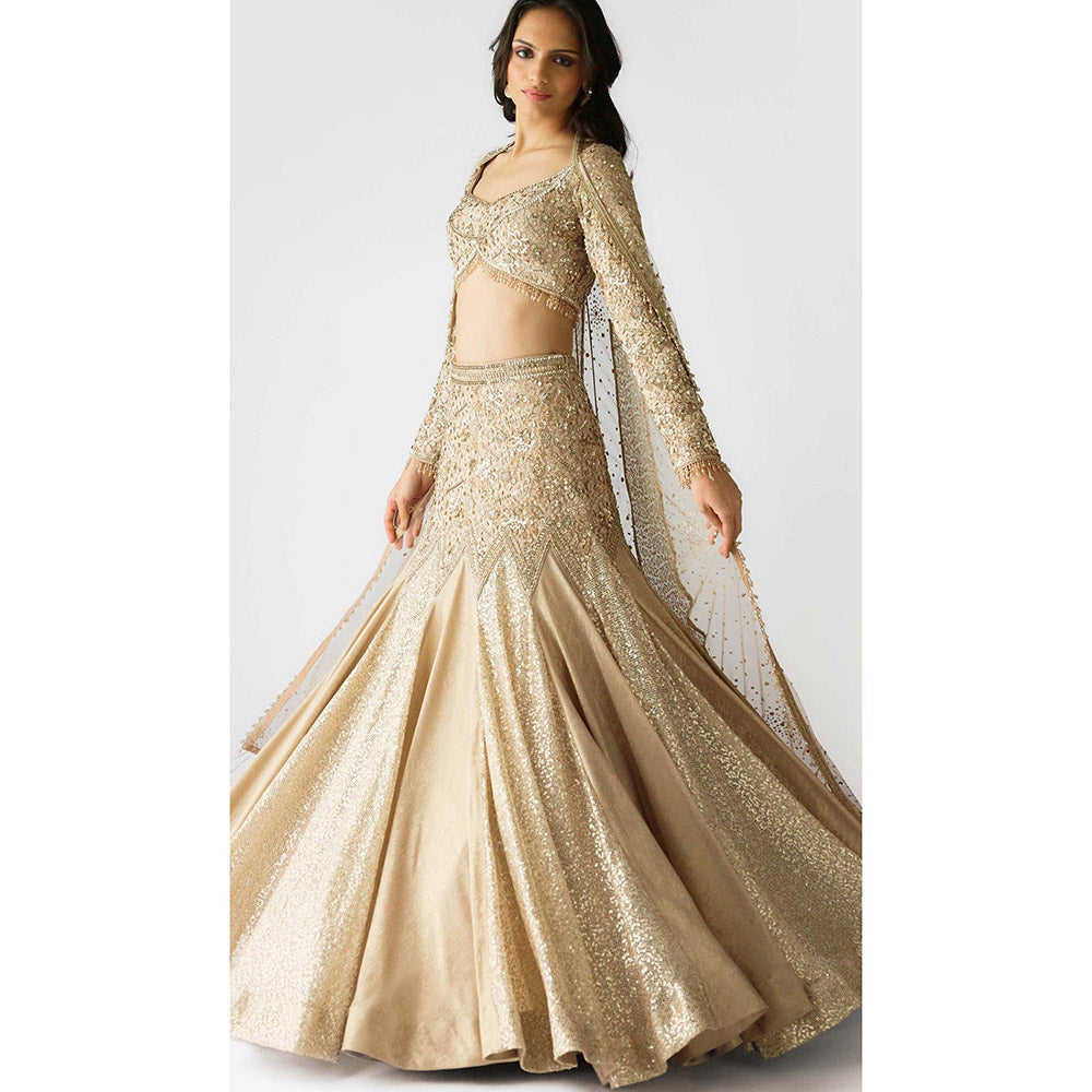 Basanti Kapde aur Koffee The Champagne Dawn Lehenga And Stitched Blouse With Dupatta