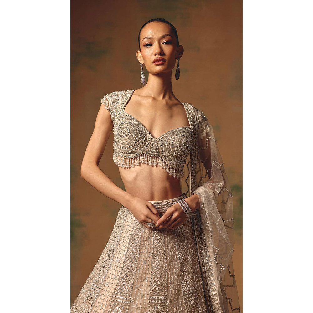 Basanti Kapde aur Koffee The Echo Of Beige Lehenga And Stitched Blouse With Dupatta