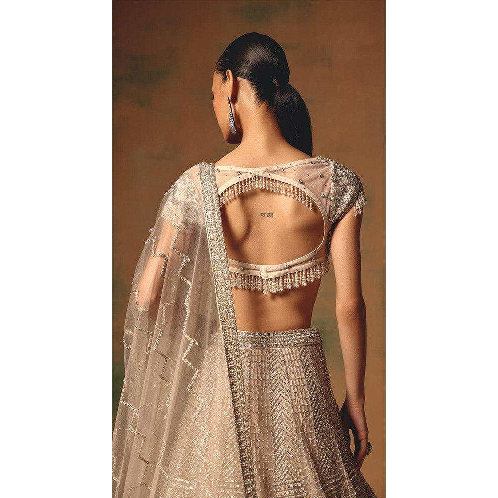Basanti Kapde aur Koffee The Echo Of Beige Lehenga And Stitched Blouse With Dupatta