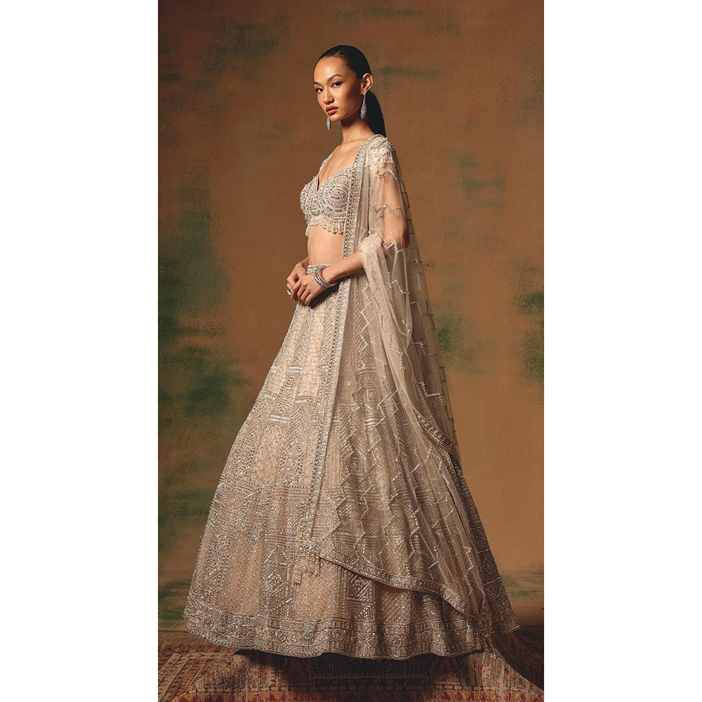 Basanti Kapde aur Koffee The Echo Of Beige Lehenga And Stitched Blouse With Dupatta