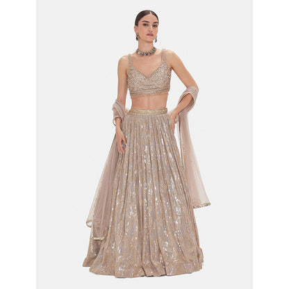 Basanti Kapde aur Koffee The Muted Champagne Lehenga And Stitched Blouse With Dupatta