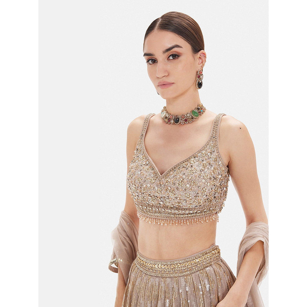 Basanti Kapde aur Koffee The Muted Champagne Lehenga And Stitched Blouse With Dupatta