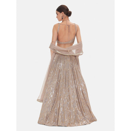 Basanti Kapde aur Koffee The Muted Champagne Lehenga And Stitched Blouse With Dupatta