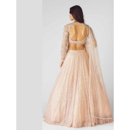Basanti Kapde aur Koffee The Peach Celestial Dream Lehenga And Stitched Blouse With Dupatta