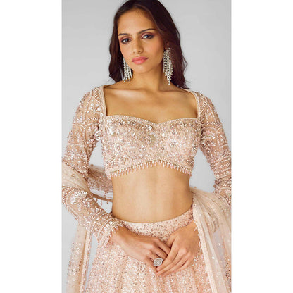 Basanti Kapde aur Koffee The Peach Celestial Dream Lehenga And Stitched Blouse With Dupatta
