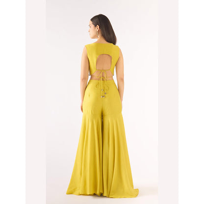 Basanti Kapde aur Koffee Lime Tissue Embellished Cape And Sharara With Bustier