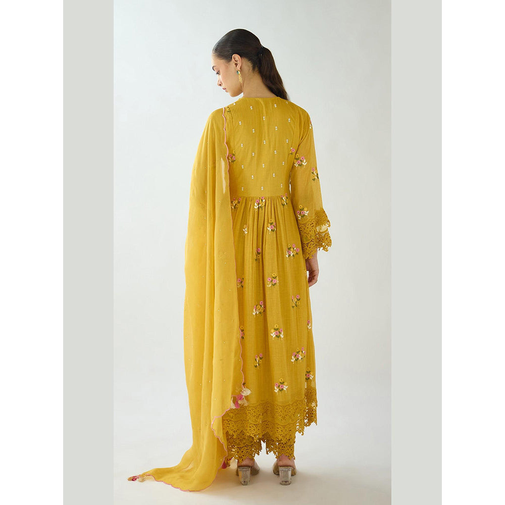 Basanti Kapde aur Koffee Mustard Embroidered Cotton Anarkali And Palazzo With Dupatta