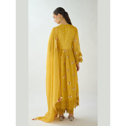 Basanti Kapde aur Koffee Mustard Embroidered Cotton Anarkali And Palazzo With Dupatta