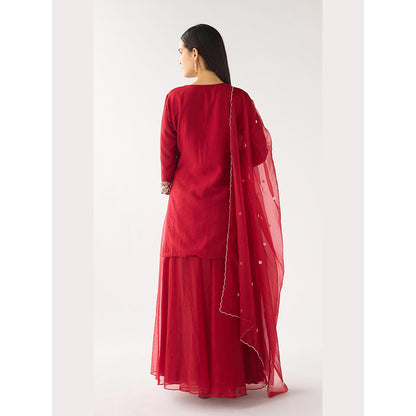 Basanti Kapde aur Koffee Red Chanderi Embroidered Kurta with Sharara and Dupatta