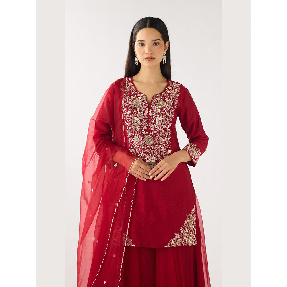 Basanti Kapde aur Koffee Red Chanderi Embroidered Kurta with Sharara and Dupatta