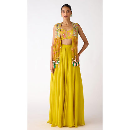 Basanti Kapde aur Koffee The Amber Radiance Jacket & Sharara