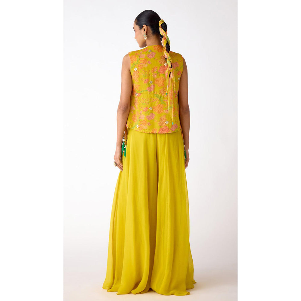 Basanti Kapde aur Koffee The Amber Radiance Jacket & Sharara