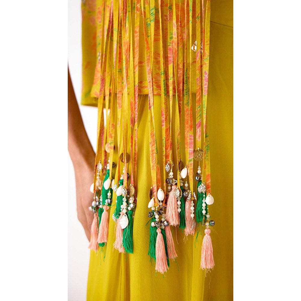 Basanti Kapde aur Koffee The Amber Radiance Jacket & Sharara