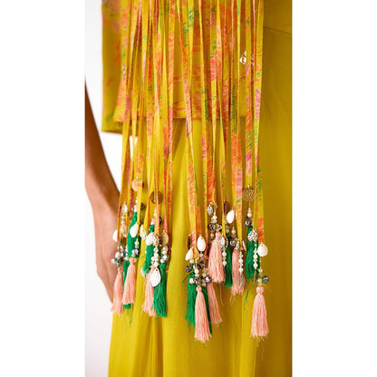 Basanti Kapde aur Koffee The Amber Radiance Jacket & Sharara