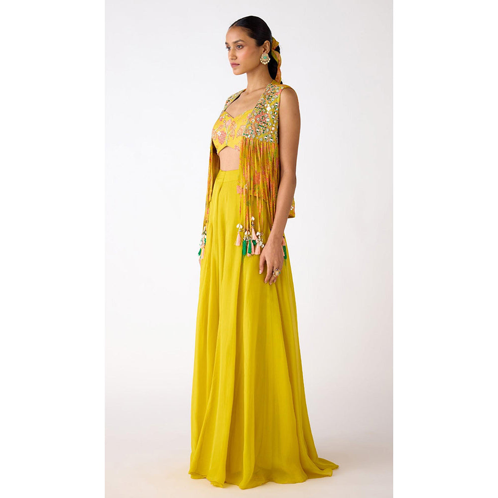 Basanti Kapde aur Koffee The Amber Radiance Jacket & Sharara