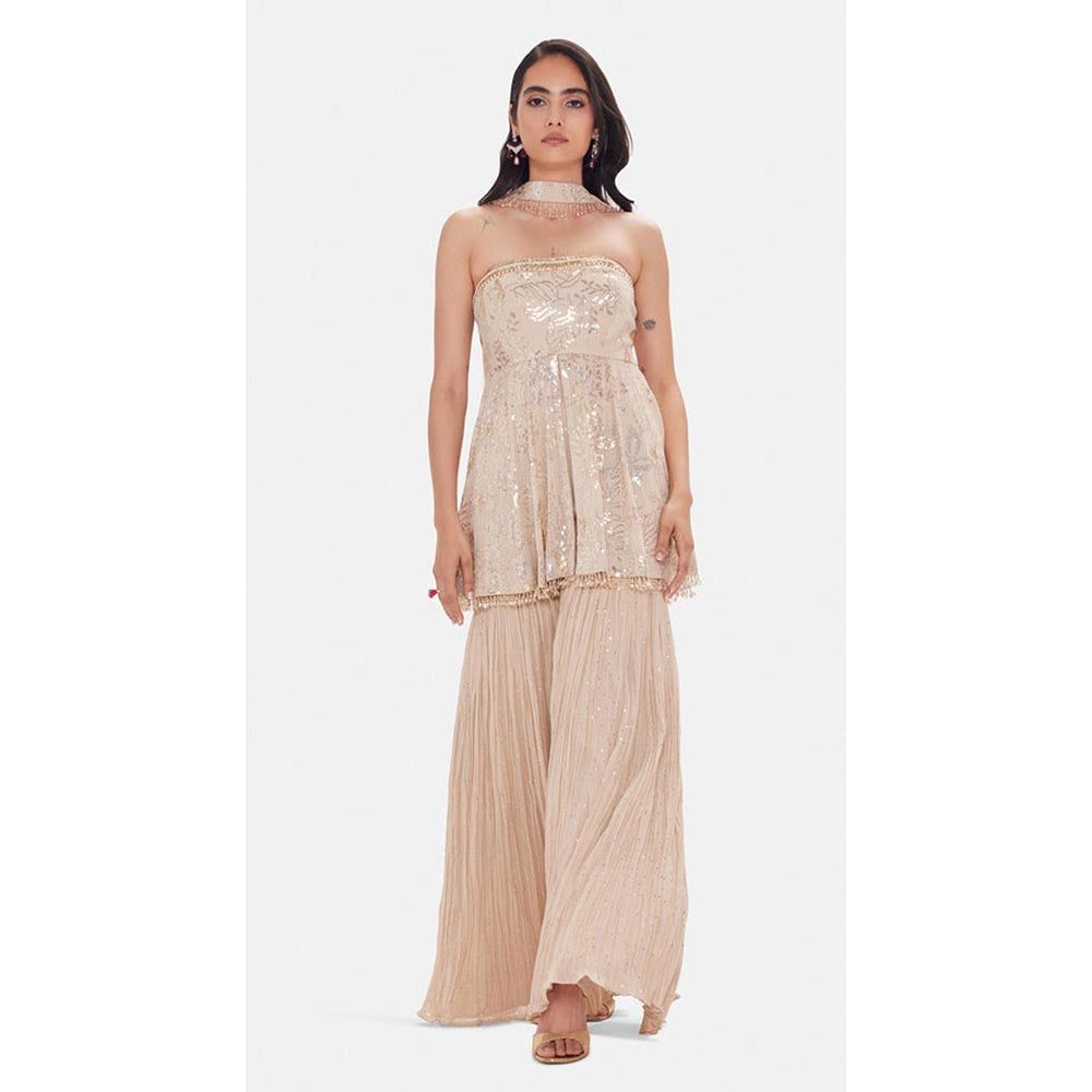 Basanti Kapde aur Koffee The Royal Sandstone Embellished Kurta with Sharara and Dupatta