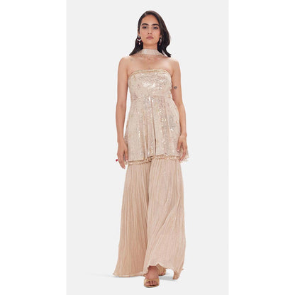 Basanti Kapde aur Koffee The Royal Sandstone Embellished Kurta with Sharara and Dupatta