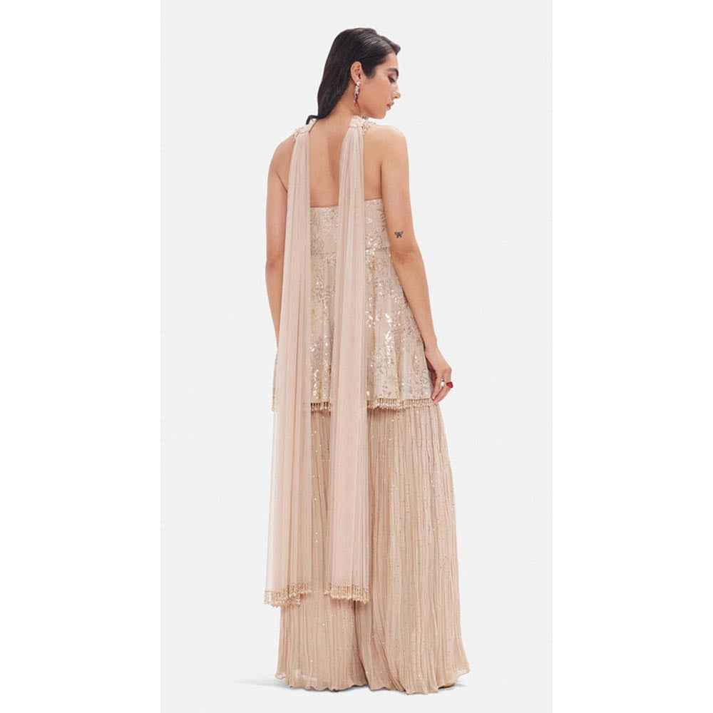 Basanti Kapde aur Koffee The Royal Sandstone Embellished Kurta with Sharara and Dupatta