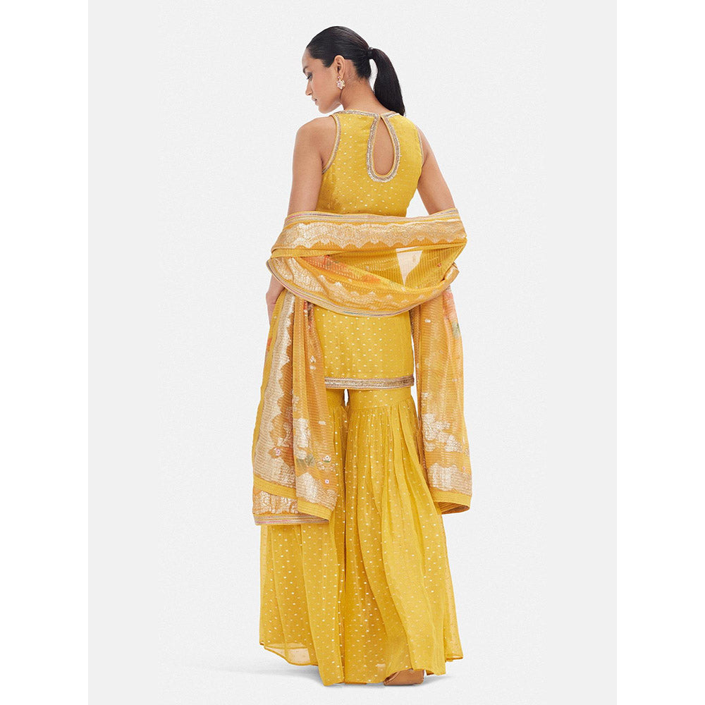 Basanti Kapde aur Koffee The Vintage Amber Sharara With Dupatta