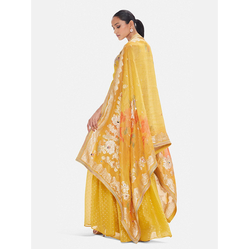Basanti Kapde aur Koffee The Vintage Amber Sharara With Dupatta