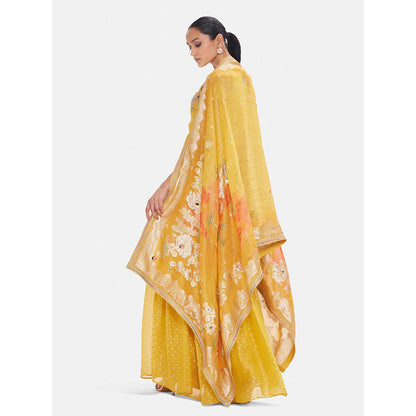 Basanti Kapde aur Koffee The Vintage Amber Sharara With Dupatta