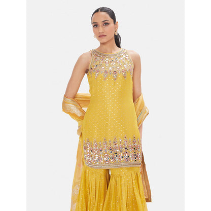 Basanti Kapde aur Koffee The Vintage Amber Sharara With Dupatta
