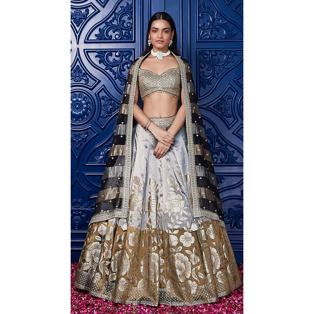 Basanti Kapde aur Koffee Brown Lehenga And Stitched Blouse With Dupatta