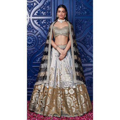 Basanti Kapde aur Koffee Brown Lehenga And Stitched Blouse With Dupatta