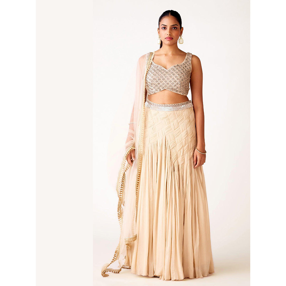 Basanti Kapde aur Koffee Ivory Chinon Embroidered Lehenga And Stitched Blouse With Dupatta