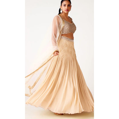 Basanti Kapde aur Koffee Ivory Chinon Embroidered Lehenga And Stitched Blouse With Dupatta