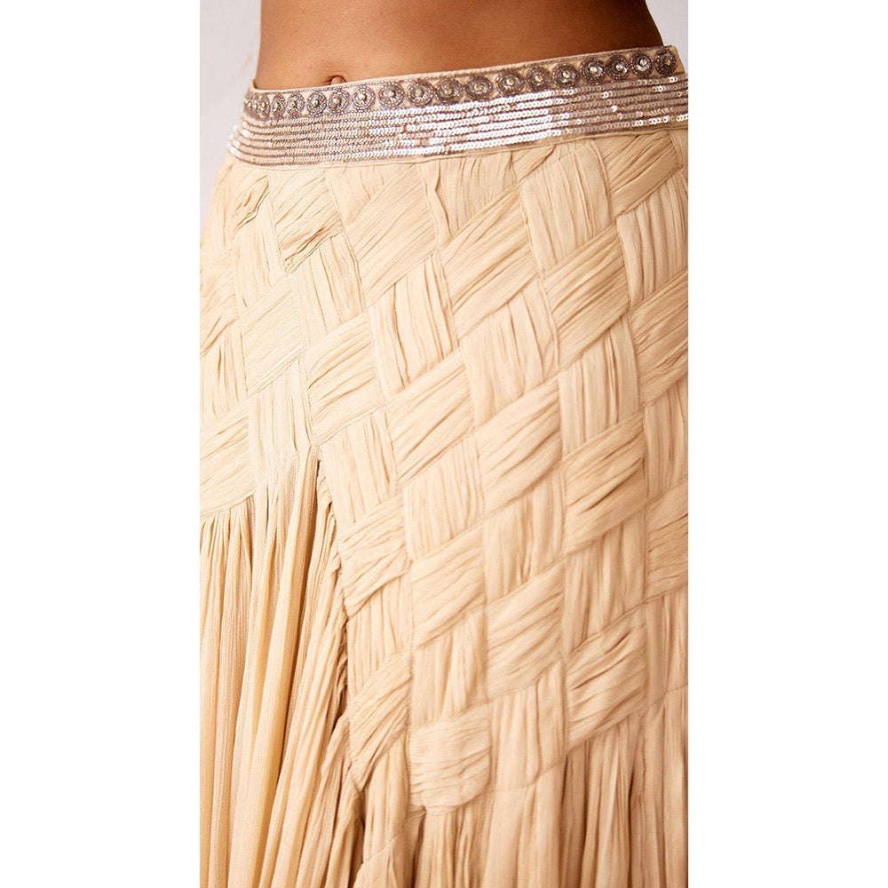 Basanti Kapde aur Koffee Ivory Chinon Embroidered Lehenga And Stitched Blouse With Dupatta